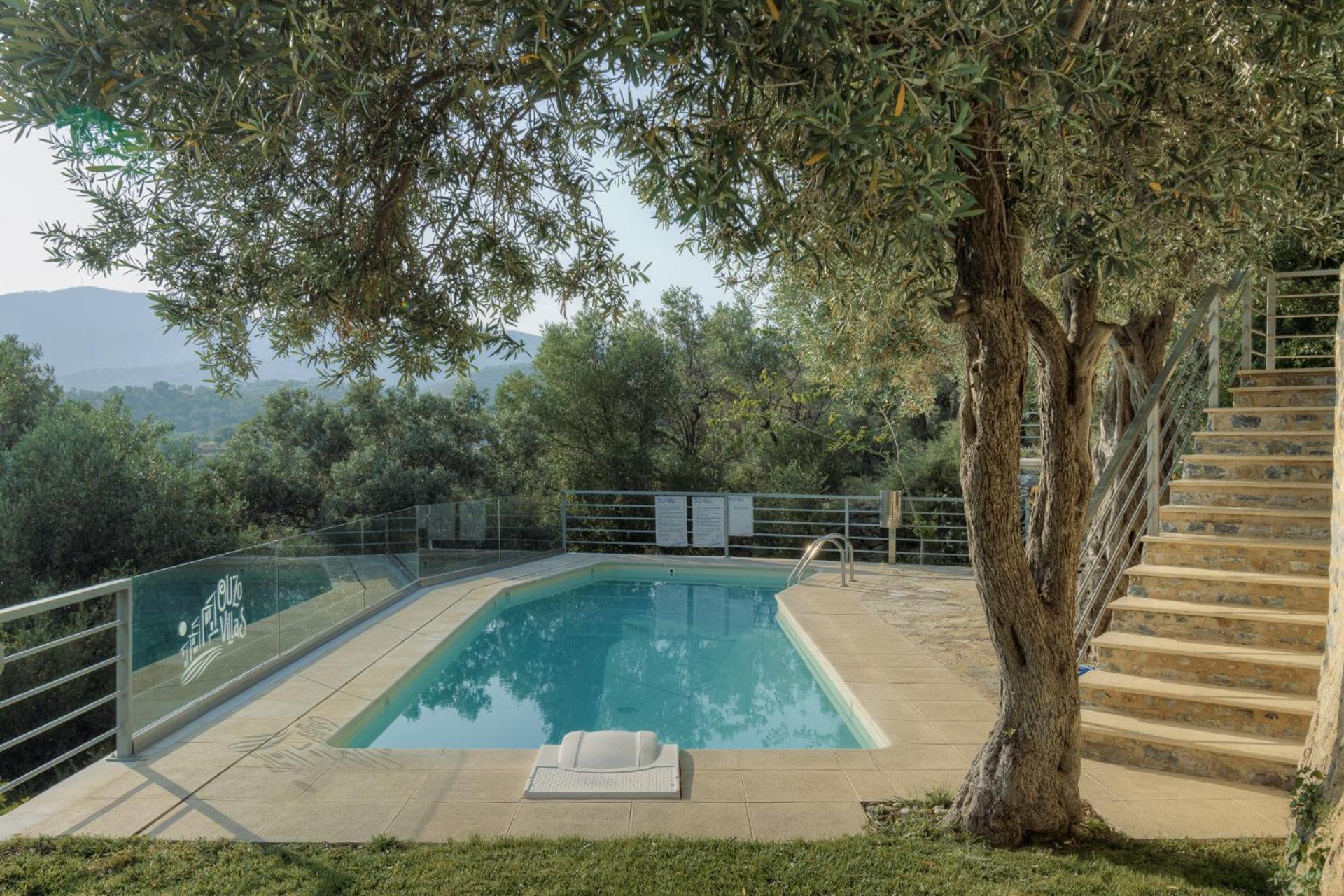 Ouzo Panoramic Houses 2, With Private Pool Пломарион Номер фото